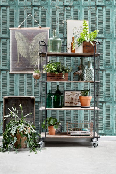 Dekoratives Regal mit Pflanzen und Dekorationselementen vor einer Wand mit Fensterladen-Tapete