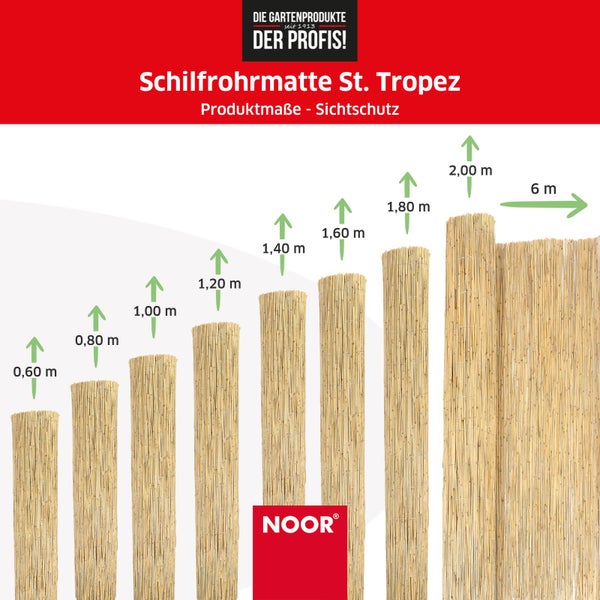 Schilfrohrmatte ST. TROPEZ - Naturprodukt - In- und Outdoor Sichtschutz - 100x600 cm - Blickschutz und Dekorationselement in Einem