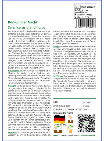 SAFLAX Garden to go - Königin der Nacht - Selenicerus grandiflorus - 40 Samen - Mit Topf, Klima - Deckel und Anzuchtsubstrat