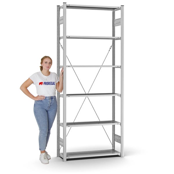 PROREGAL Profi Lagerregal Stecksystem T-Profil Grundregal HxBxT 250 x 100 x 30 cm Fachlast 125 kg Verzinkt