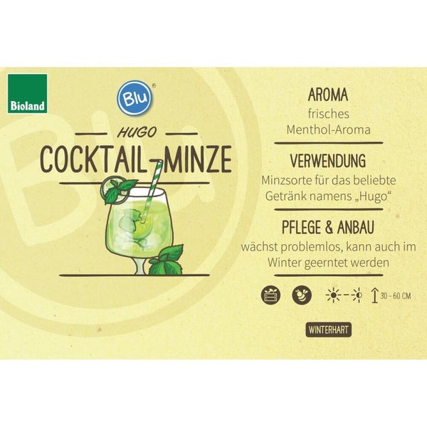 Produktetikett für Blu Cocktail-Minze Hugo mit Bioland Logo, Informationen zu Aroma, Verwendung, Pflege, winterhart und sonnig bis halbschattig.