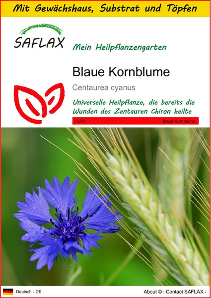SAFLAX Anzucht Set - Blaue Kornblume - Centaurea cyanus - 27000 Samen - Mit Mini-Gewächshaus, Anzuchtsubstrat und 2 Töpfen
