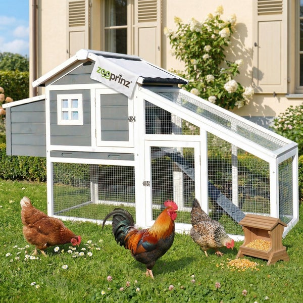 Zooprinz Hühnerstall aus Holz mit integriertem Freilaufgehege, Zooprinz Logo, Hühnern und einem Hahn auf einer Wiese mit Futterhaus.