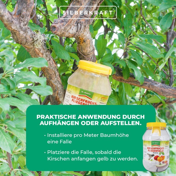 Effektive Kirschfruchtfliegenfalle – Giftfreie Lockstofffalle zur Bekämpfung der Kirschfruchtfliege – Einfache Anwendung für Kirschenbäume im Garten & Streuobstbereich