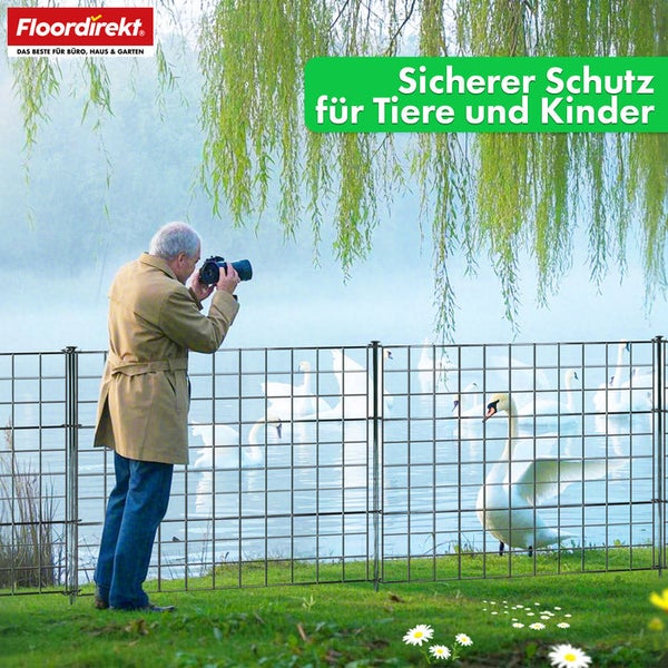 Szene mit Zaun zum sicheren Schutz für Tiere und Kinder, ein Mann fotografiert eine Schwanenfamilie am See. Floordirekt Logo.