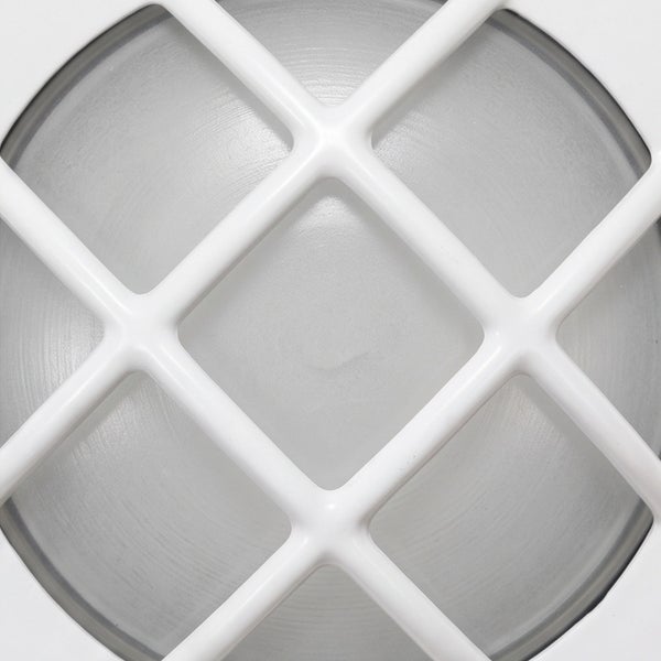 Runde Außenleuchte mit Schutzgitter und satiniertem Glasdiffusor für Wand oder Decke
