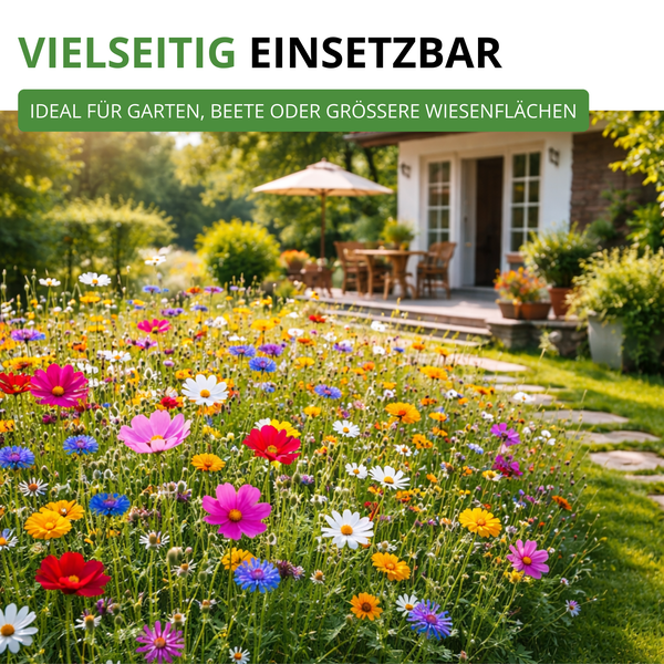 Blühende Wildblumenwiese vor einem Haus mit Terrasse und Gartenmöbeln, ideal für Beete und große Wiesenflächen.