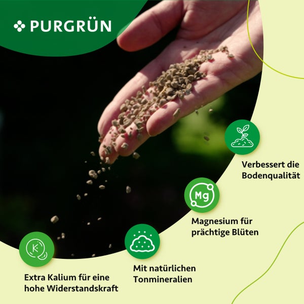 Purgrün Geißblatt-Dünger 1 kg