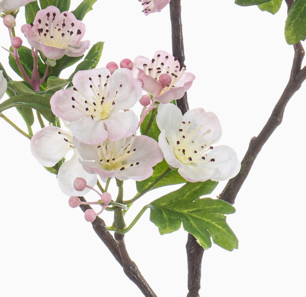 Künstliche Anthurie mit weißen Blüten und dunkelgrünen Blättern.