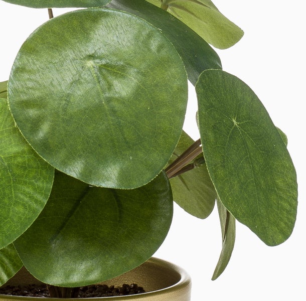 Künstliche Pflanze Pilea Peperomioides mit großen, runden Blättern in einem goldfarbenen Übertopf.