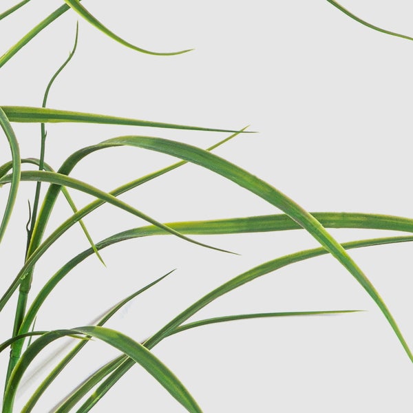 Künstliche Hortensie mit blau-weißen Blüten, gezacktem grünem Blatt und Stiel.