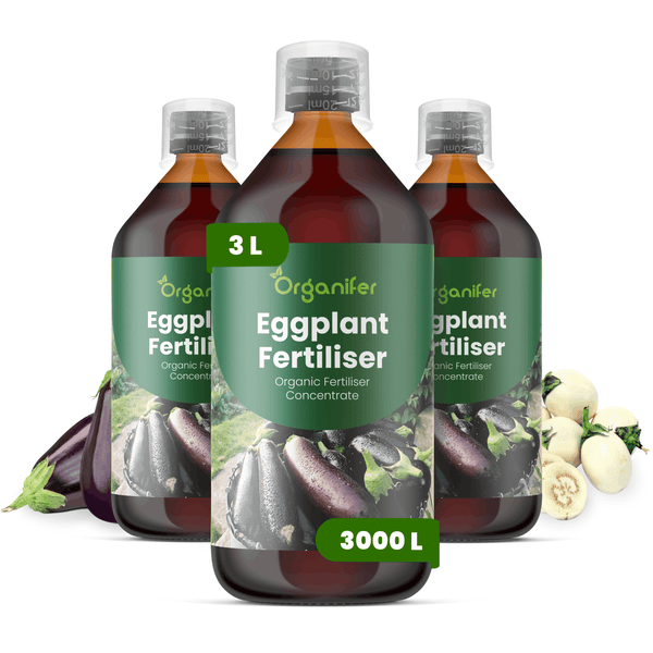 Drei Flaschen Organifer Auberginendünger, Bio-Flüssigdünger-Konzentrat, 3 Liter für bis zu 3000 Liter, mit Abbildungen von Auberginen.