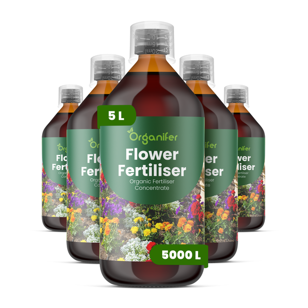 Organifer Blumendünger Bio-Flüssigdünger Konzentrat 5 Liter Flasche für 5000 Liter Gießwasser.