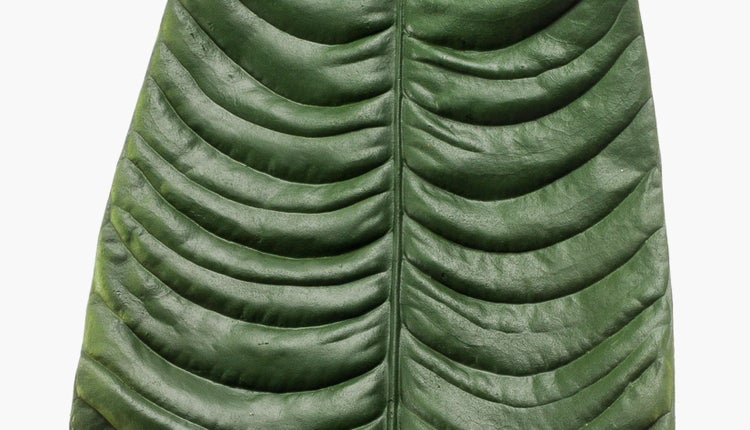 Nahaufnahme eines großen grünen Blattes mit markanten, tiefen, gebogenen Blattadern und einer Mittelrippe.