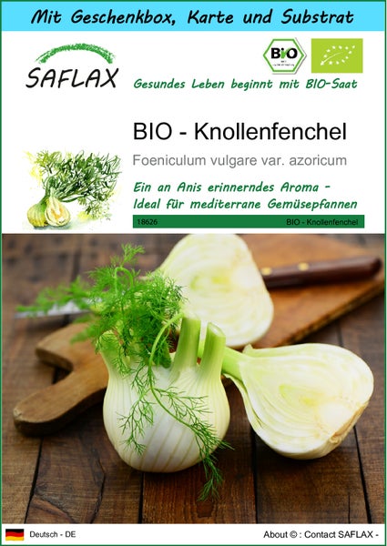 SAFLAX Geschenk Set - BIO - Knollenfenchel - Foeniculum vulgare var. azoricum - 100 Samen - Mit Geschenkbox, Versandaufkleber, Geschenkkarte und Anzuchtsubstrat