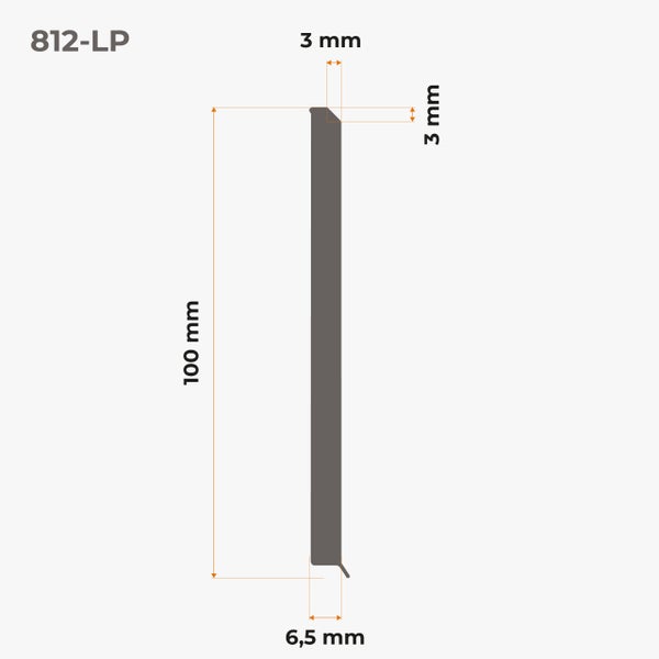 Profilleiste mit den Maßen 100 Millimeter mal 3 Millimeter mal 6,5 Millimeter