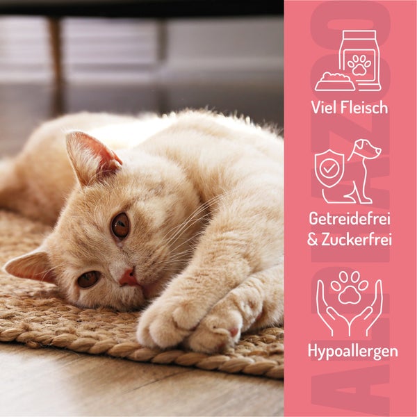 Katze liegt auf einem Teppich mit den Hinweisen viel Fleisch, getreidefrei und zuckerfrei, hypoallergen