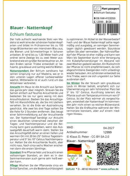 SAFLAX Garden to go - Blauer - Natternkopf - Echium fastuosa - 100 Samen - Mit Topf, Klima - Deckel und Anzuchtsubstrat