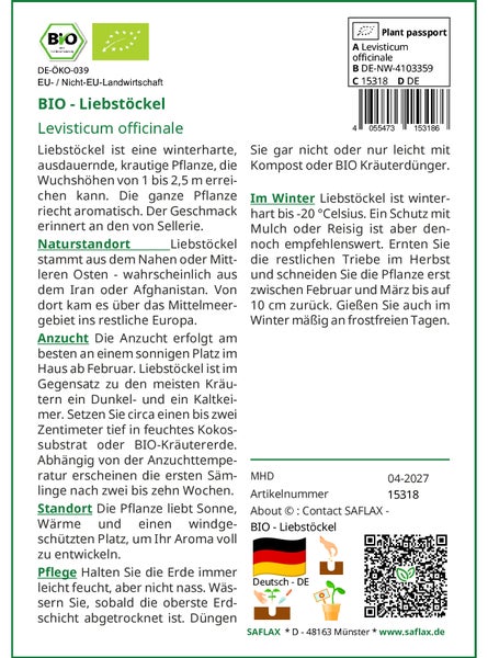 SAFLAX Anzucht Set - BIO - Liebstöckel - Levisticum officinale - 100 Samen - Mit Mini-Gewächshaus, Anzuchtsubstrat und 2 Töpfen