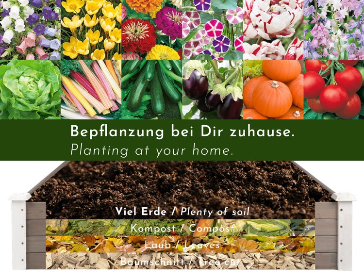 Illustration von Blumen, Gemüse und einer Hochbeetkonstruktion mit verschiedenen Schichten