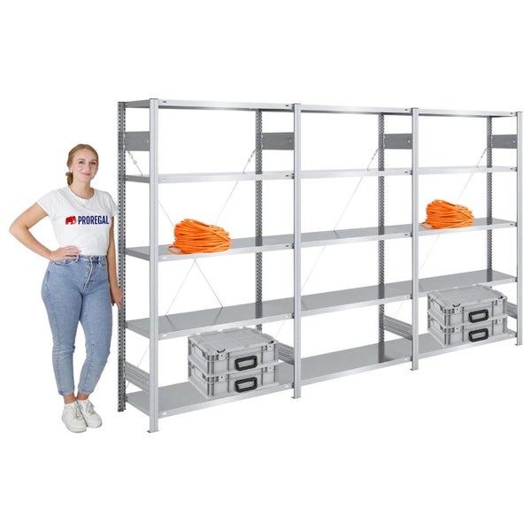 PROREGAL Schwerlastregal Silver Mamba Made In Germany  HxBxT 200 x 300 x 40 cm 5 Ebenen Je 150 kg Fachlast  Verzinkt