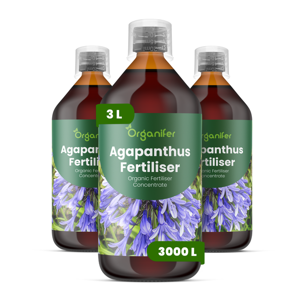 Vergleich von Organifer Agapanthus Dünger mit anderen Produkten, Vorteile wie kräftige Blüten, vinassefreie Formel und stabile Stiele, Organifer Logo.