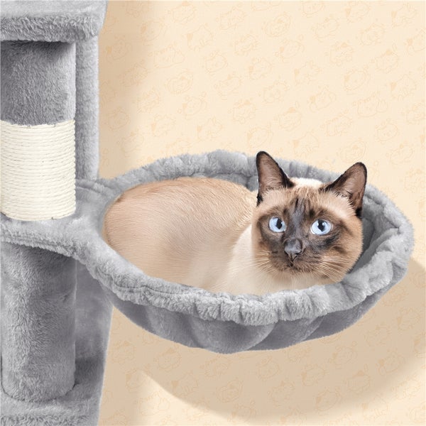 Katze liegt in einem grauen Kratzbaum-Korb