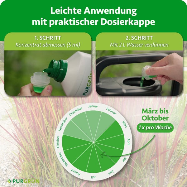Anwendungsanleitung für Purgrün Dünger mit Dosierkappe: Konzentrat abmessen, mit Wasser verdünnen und Anwendungskalender von März bis Oktober.