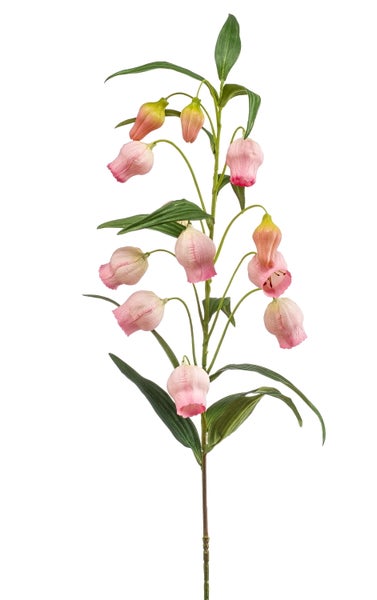 Künstliche Wiesenblume mit weißen Blütendolden und grünen Blättern.