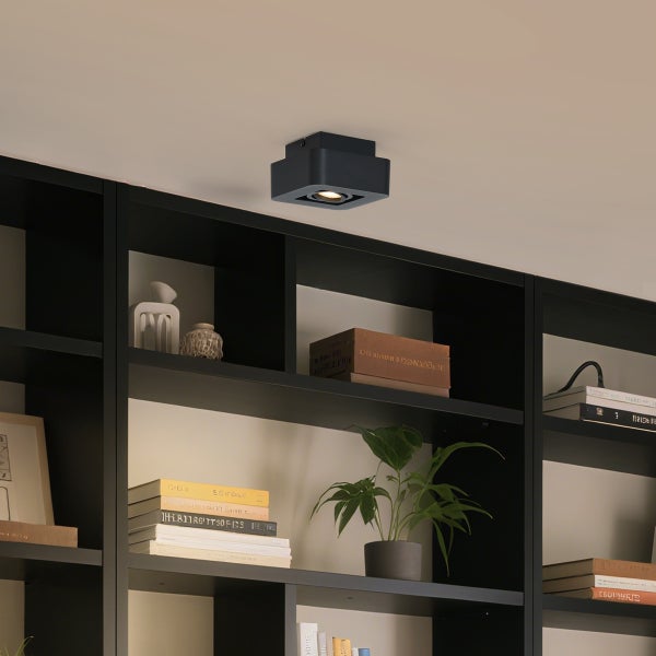 Deckenleuchte in einem Bücherregal mit dekorativen Gegenständen und Pflanzen