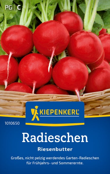 Saatgut Radieschen Riesenbutter von Kiepenkerl im Flechtkorb zur Aussaat im Garten