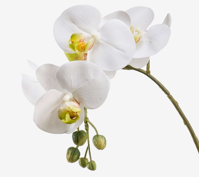 Künstliche Orchidee mit grünen Blättern, Luftwurzeln und einem Bambusstab.