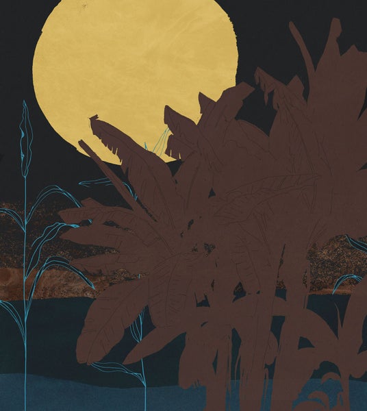 Illustration mit tropischen Pflanzen und Vollmond