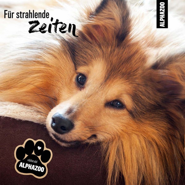 Sack mit mittelgroßer Nusskohle, 20 Kilogramm