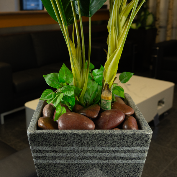 Pflanze in quadratischem grauem Pflanzkübel in Steinoptik mit horizontalen Streifen und rötlich braunen Ziersteinen.