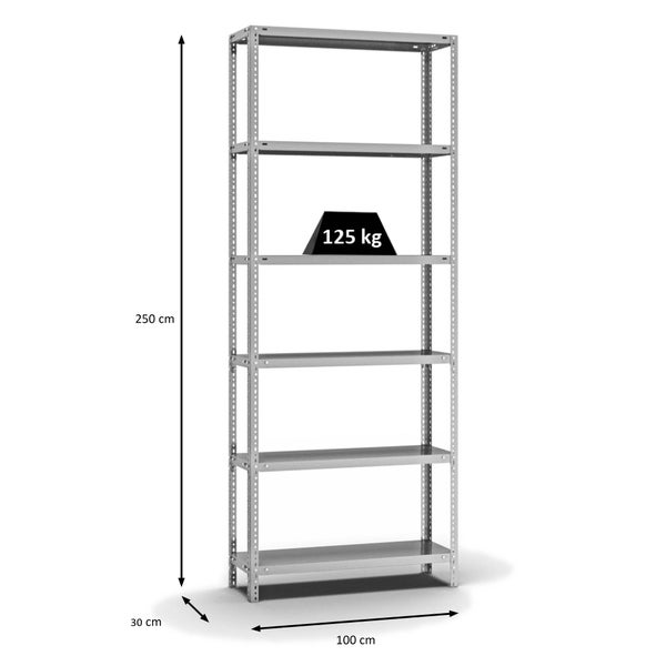 PROREGAL Fachbodenregal Schraubsystem Light-Duty Grundregal HxBxT 250 x 100 x 30 cm 6 Ebenen Fachlast 125 kg Beidseitig Nutzbar Verzinkt