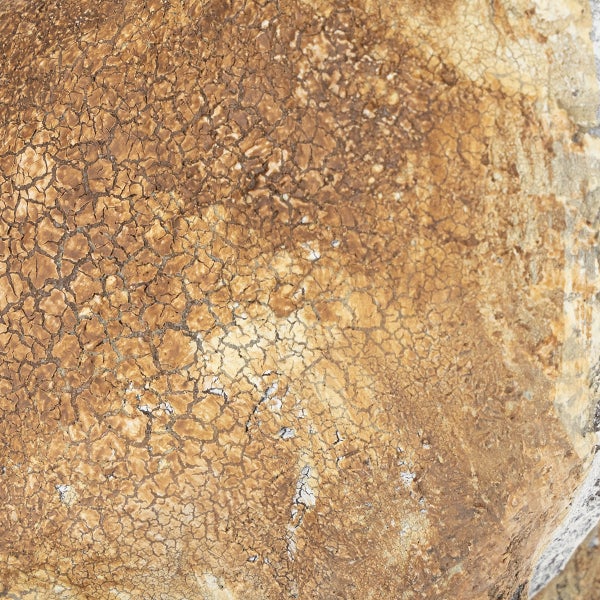 Nahaufnahme einer rauen Oberfläche mit Rissen