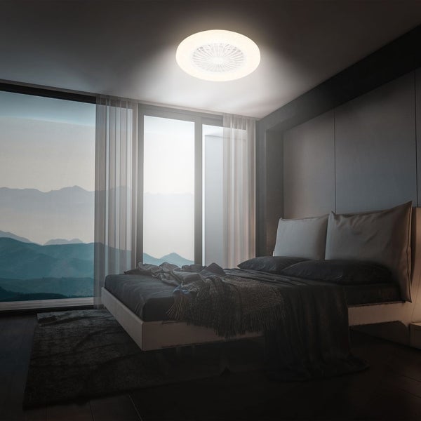 Verschiedene Gurkensamen, darunter Salatgurke Tanja, mexikanische Minigurke, Schwammgurke Luffa, afrikanische Horngurke Kiwano, Salat- und Einlegegurke Delikateß, Freilandsalatgurke Chinese Slangen, Zitronengurke Lemon und Mini Snackgurke Salamanda F1