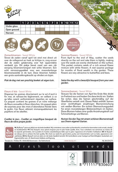 Buzzy Sommerblumen Sweet White Samenpackung