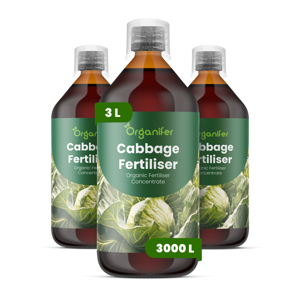 Drei Flaschen Organifer Bio-Kohl-Dünger Konzentrat, 3 Liter, ausreichend für 3000 Liter.