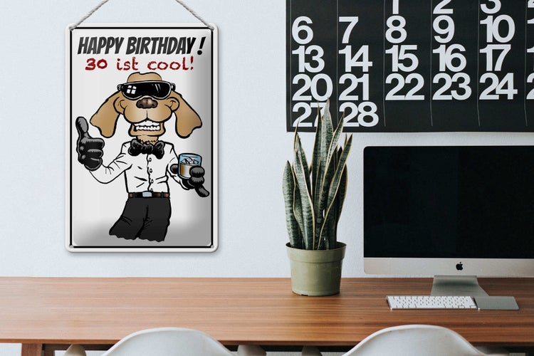 Blechschild Spruch 20x30cm Happy Birthday 30 is cool