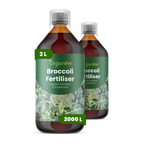 Organifer Brokkoli-Dünger, organisches Düngerkonzentrat, 2 Liter für circa 2000 Liter.