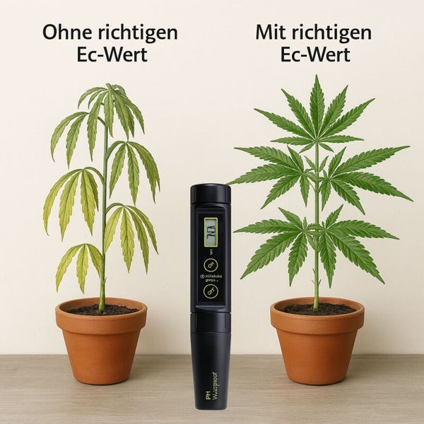 Darstellung von Pflanzenwachstum mit und ohne passenden EC-Wert, mit zugehörigem Messgerät zur Elektrolytischen Leitfähigkeit.