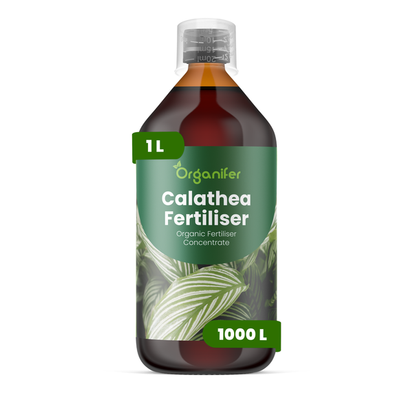 Organifer Calathea Dünger, organisches Düngerkonzentrat in einer 1 Liter Flasche mit Messkappe.