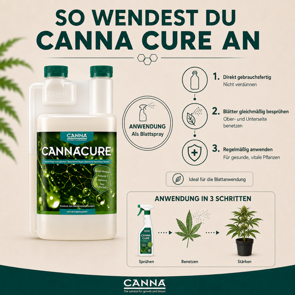 Anwendungshinweise für Canna Cure Pflanzenschutzmittel in einer Infografik mit Schritt für Schritt Anleitung zur Blattsprühung.