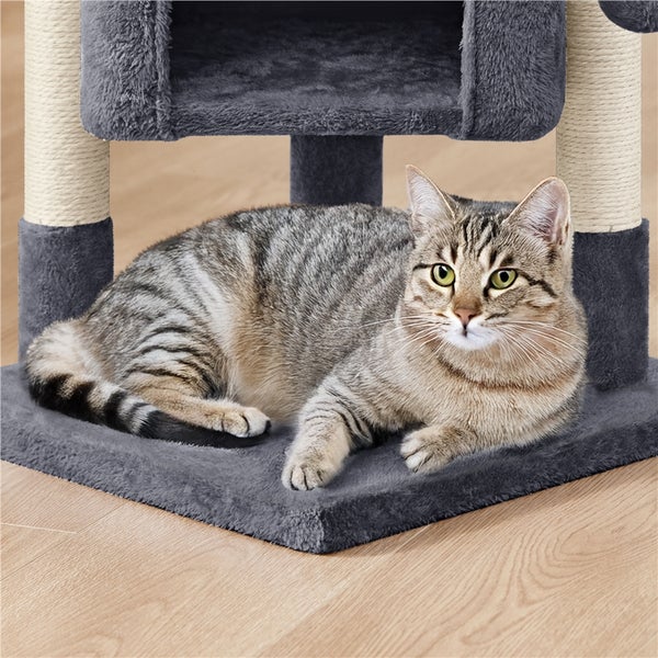 Katze ruht auf einem grauen Katzenbaum mit Sisalstämmen