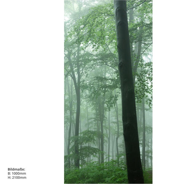 Waldszene mit Bäumen im Nebel