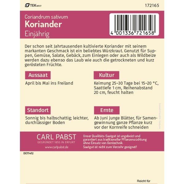 Koriander einjährig & feinwürzig Samen von Pabst Keimkraft