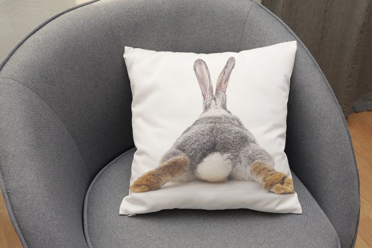 Kuschelkissen, Kissenhülle, Kissenbezug Hasenschwanz, Hase PI11192_40x40cm