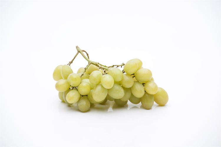 Vitis vinifera 'Lakemont', Weinrebe, kernlos, 80–100 cm